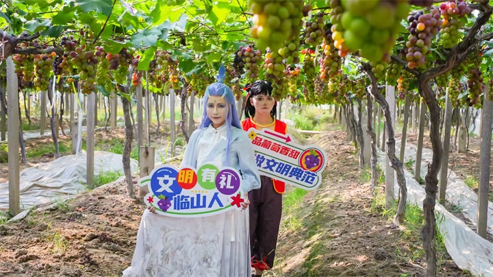 我们的家园”展示活动暨2025（余姚·临山）江南葡萄采摘季启幕